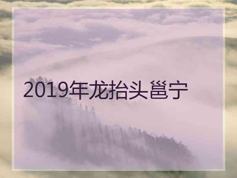 2019年龙抬头邕宁