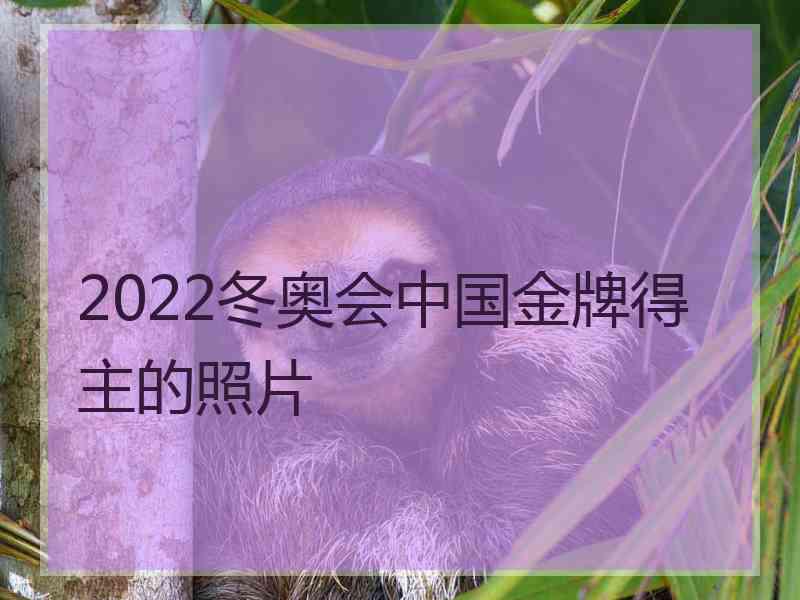 2022冬奥会中国金牌得主的照片