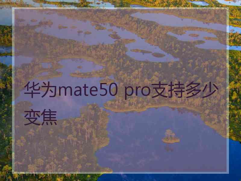 华为mate50 pro支持多少变焦