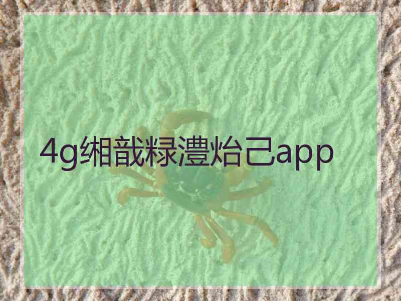 4g缃戠粶澧炲己app