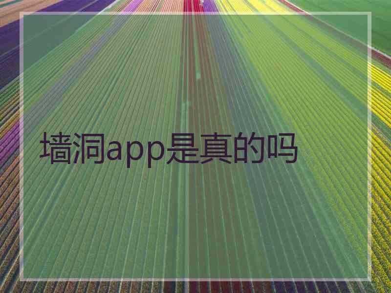 墙洞app是真的吗