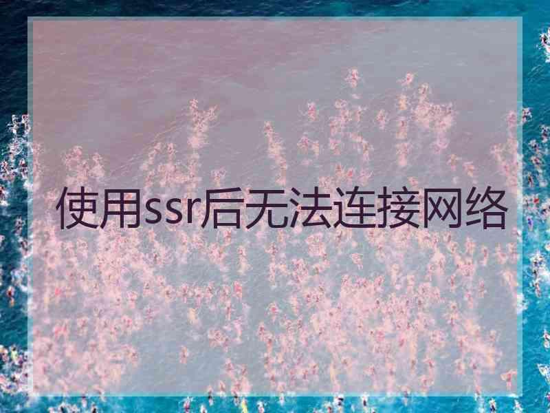 使用ssr后无法连接网络