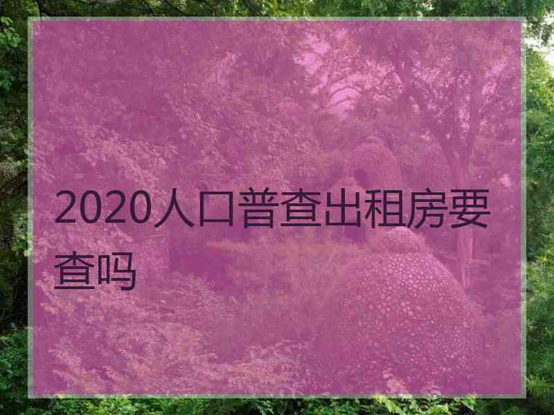 2020人口普查出租房要查吗