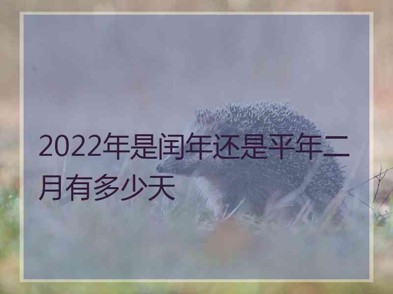 2022年是闰年还是平年二月有多少天