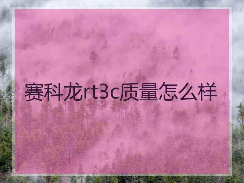 赛科龙rt3c质量怎么样