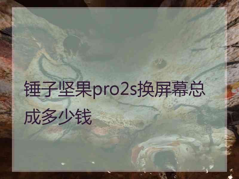 锤子坚果pro2s换屏幕总成多少钱