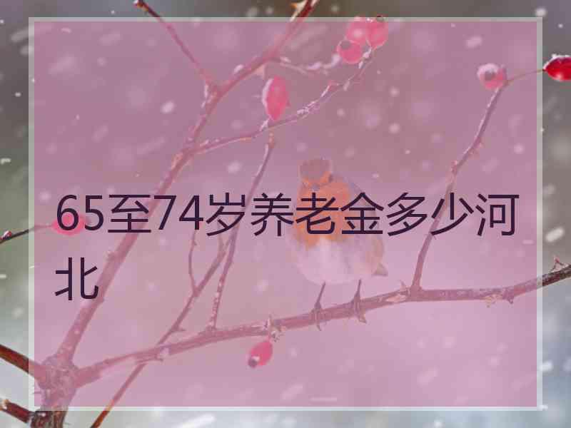 65至74岁养老金多少河北