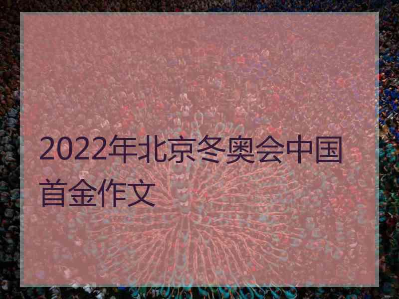 2022年北京冬奥会中国首金作文