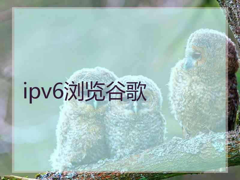 ipv6浏览谷歌