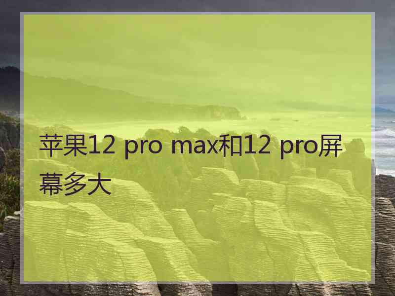 苹果12 pro max和12 pro屏幕多大