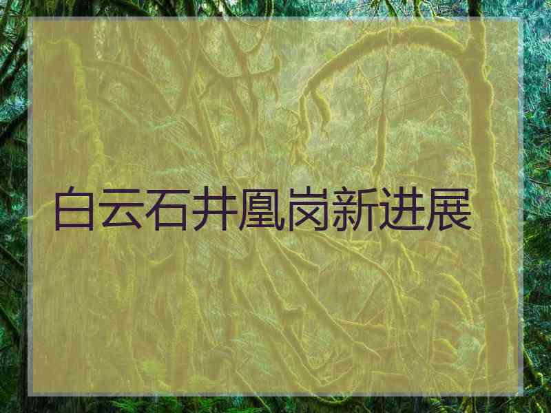 白云石井凰岗新进展