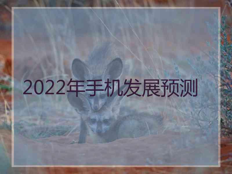 2022年手机发展预测