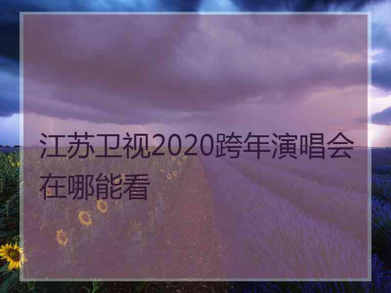 江苏卫视2020跨年演唱会在哪能看