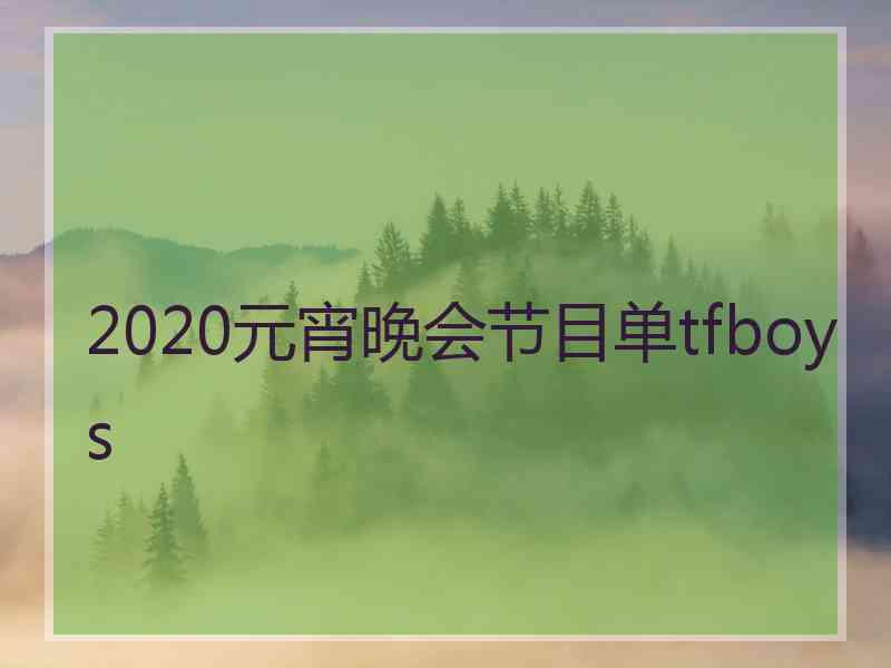 2020元宵晚会节目单tfboys