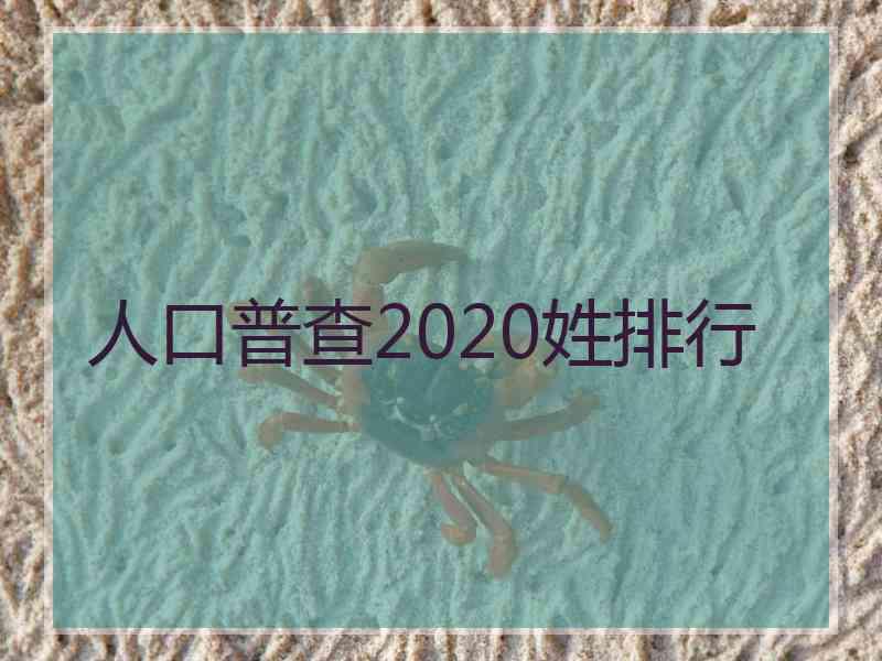 人口普查2020姓排行