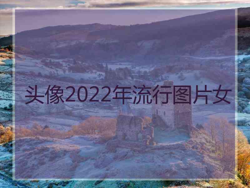 头像2022年流行图片女