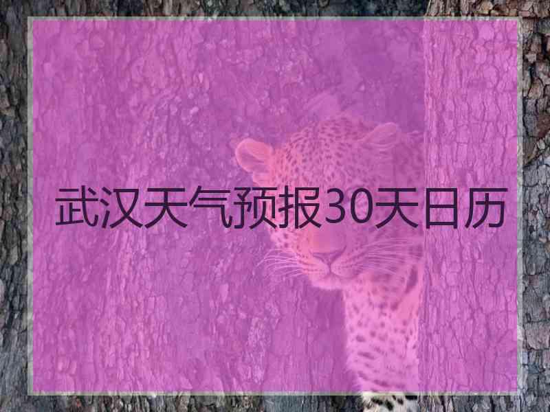 武汉天气预报30天日历