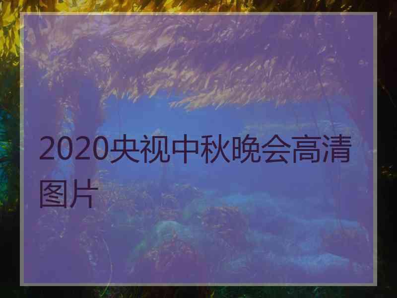 2020央视中秋晚会高清图片