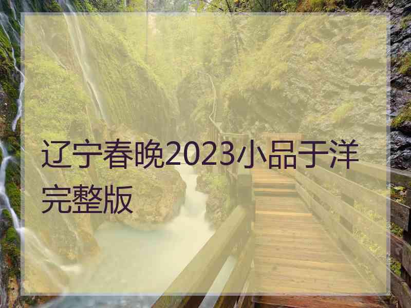 辽宁春晚2023小品于洋完整版