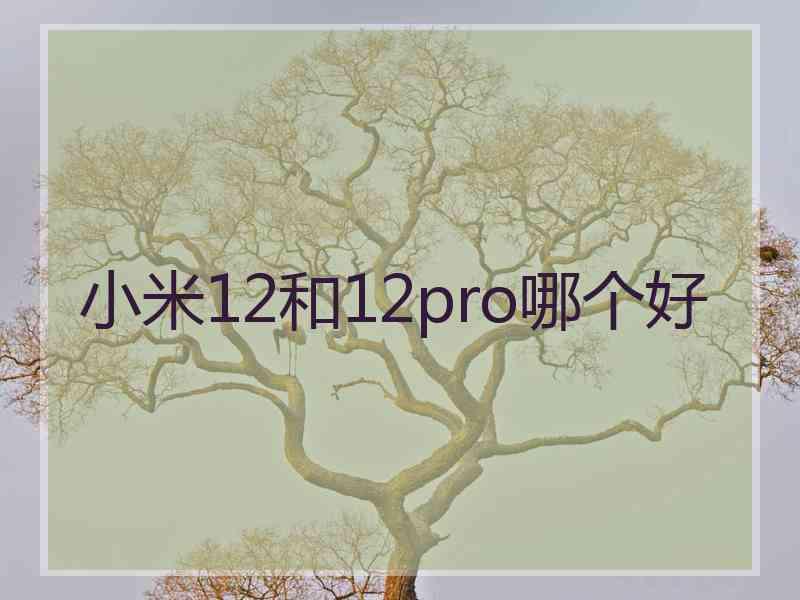 小米12和12pro哪个好