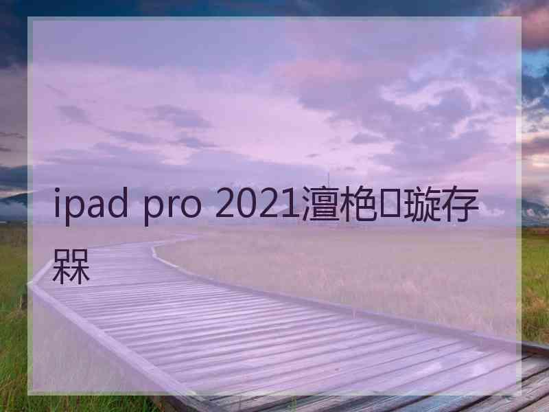 ipad pro 2021澶栬璇存槑