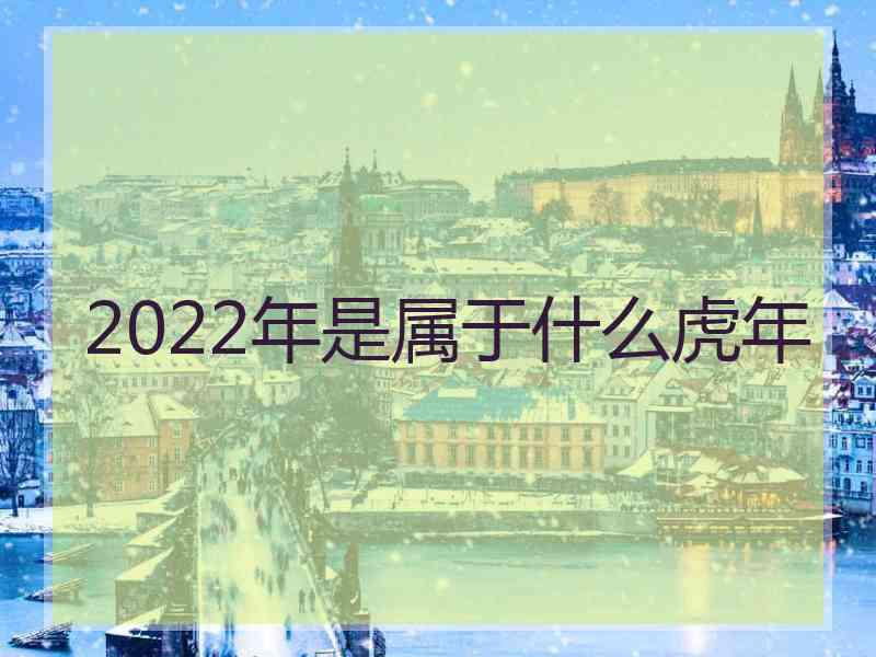 2022年是属于什么虎年