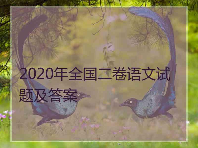 2020年全国二卷语文试题及答案