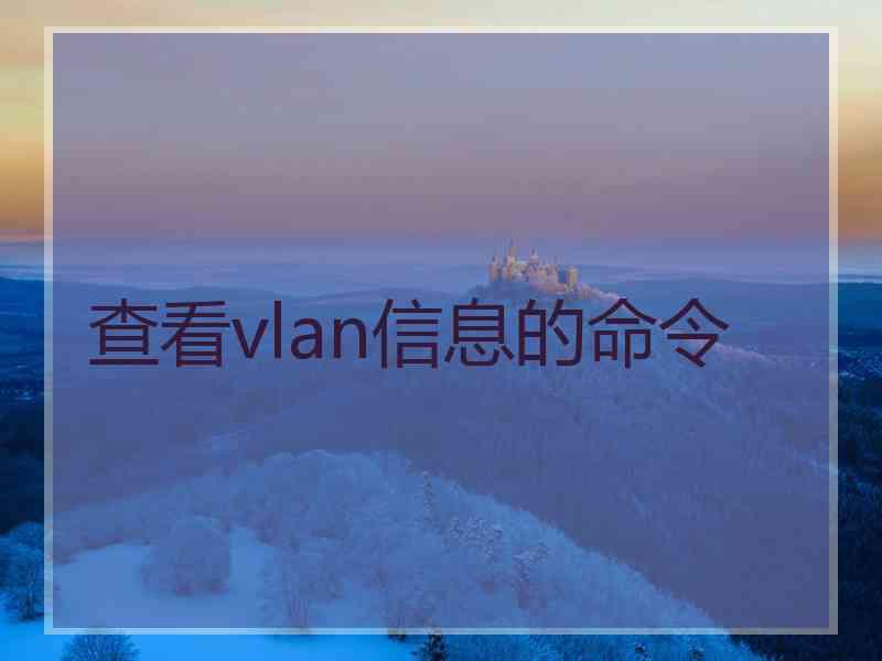 查看vlan信息的命令