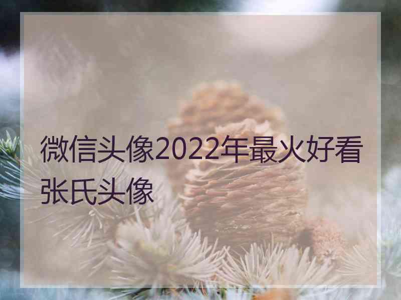 微信头像2022年最火好看张氏头像