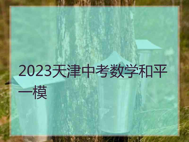 2023天津中考数学和平一模