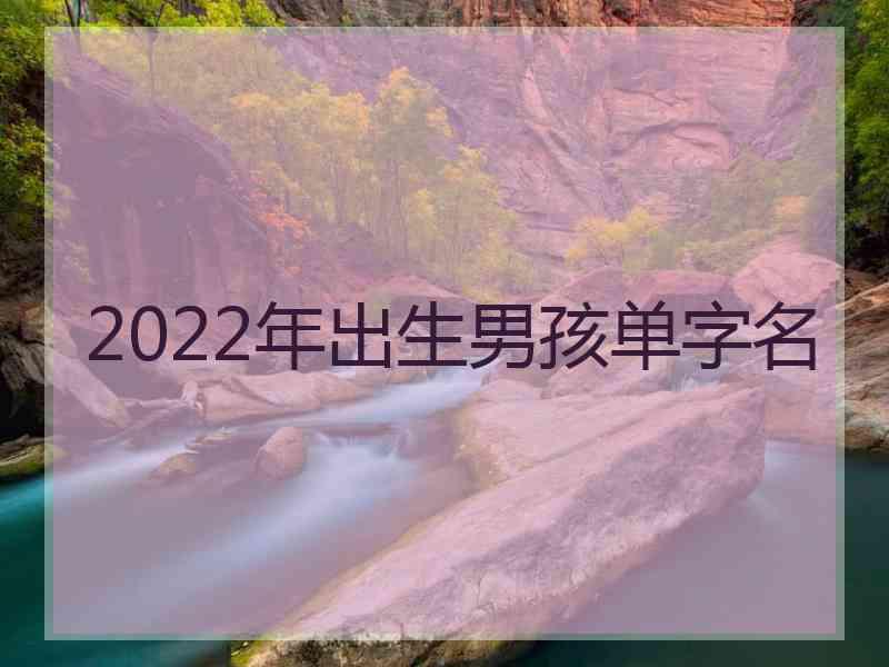 2022年出生男孩单字名