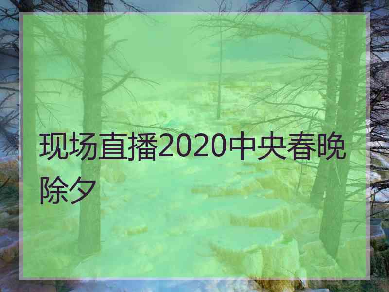 现场直播2020中央春晚除夕