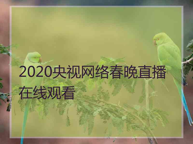 2020央视网络春晚直播在线观看