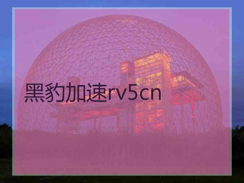 黑豹加速rv5cn