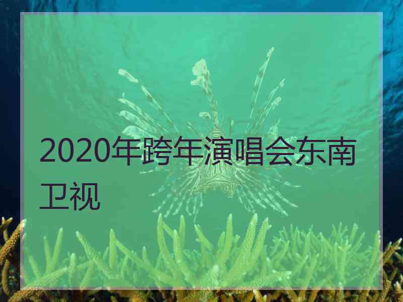 2020年跨年演唱会东南卫视