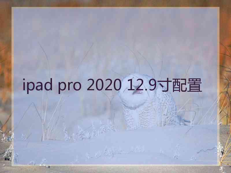 ipad pro 2020 12.9寸配置