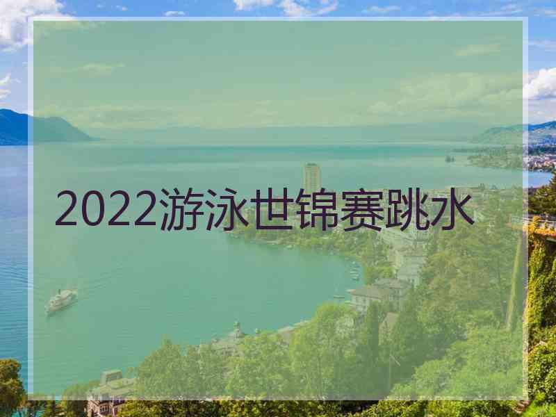 2022游泳世锦赛跳水