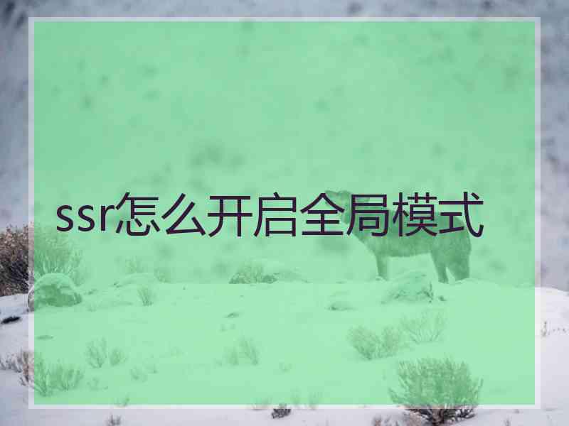 ssr怎么开启全局模式