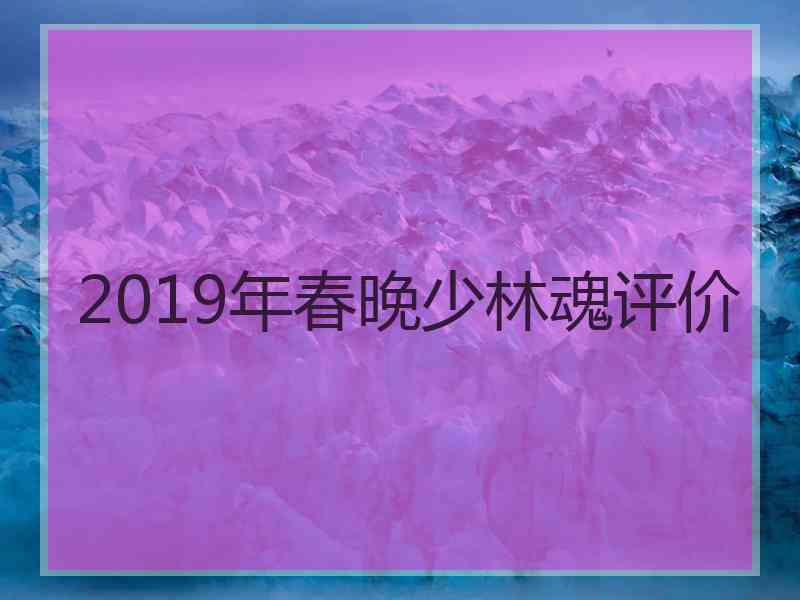 2019年春晚少林魂评价