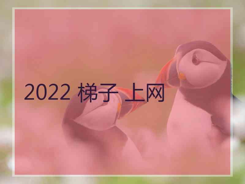 2022 梯子 上网