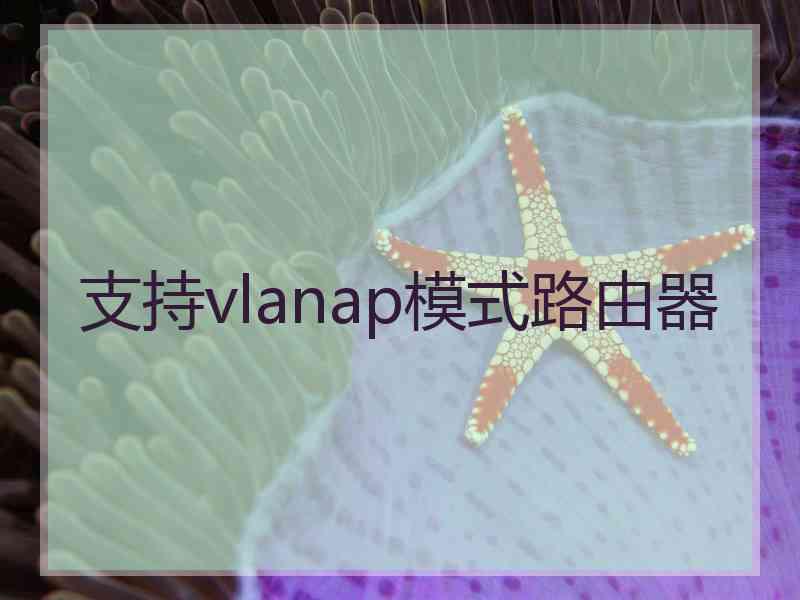 支持vlanap模式路由器