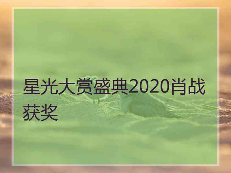 星光大赏盛典2020肖战获奖