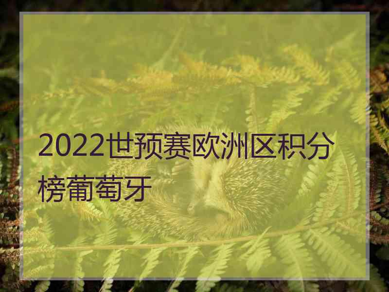 2022世预赛欧洲区积分榜葡萄牙