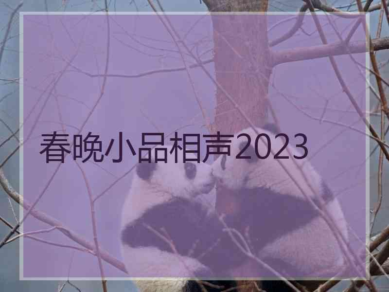 春晚小品相声2023