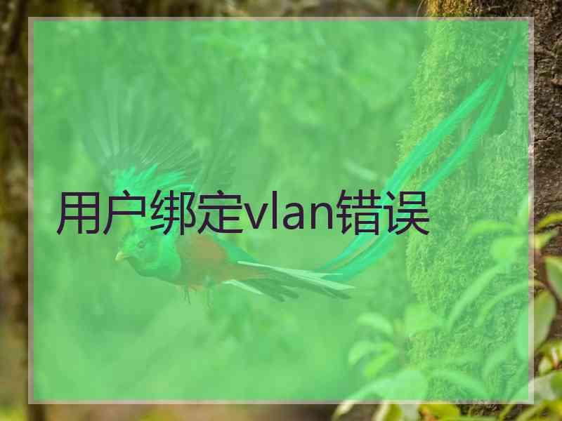 用户绑定vlan错误