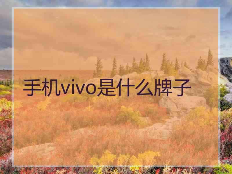 手机vivo是什么牌子