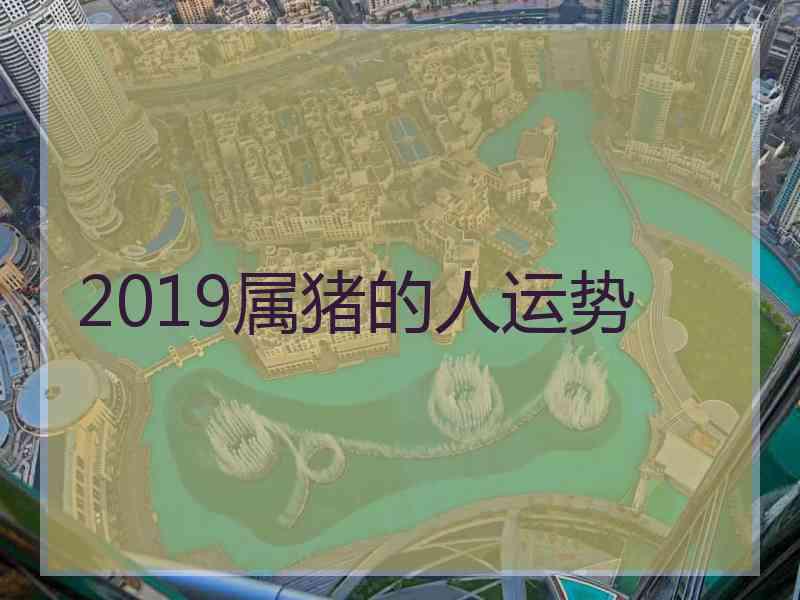 2019属猪的人运势