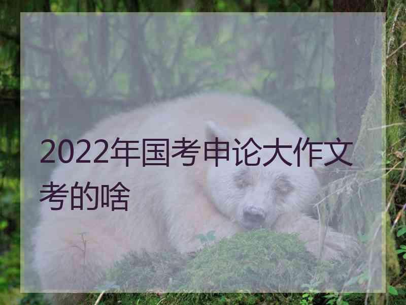 2022年国考申论大作文考的啥