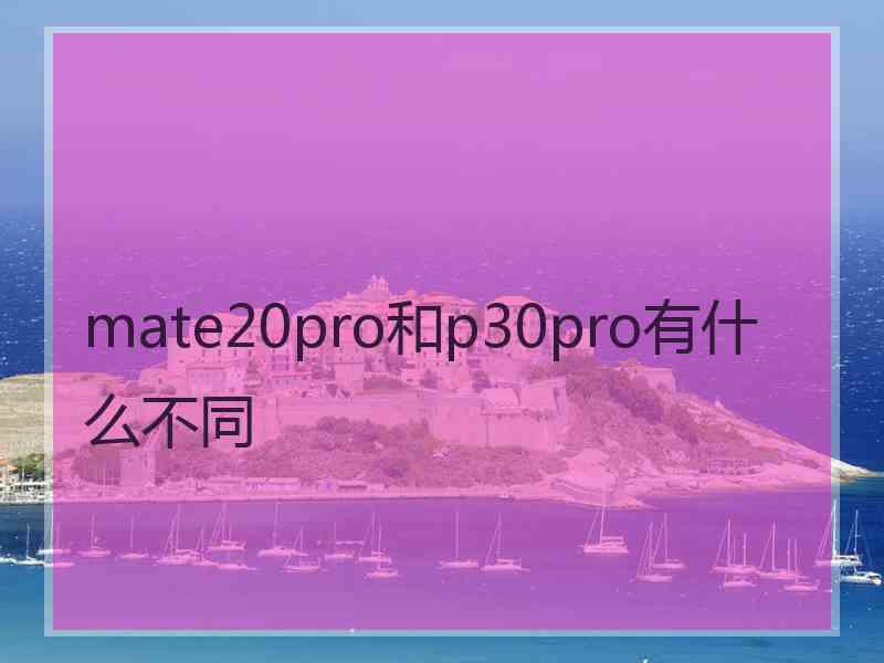 mate20pro和p30pro有什么不同