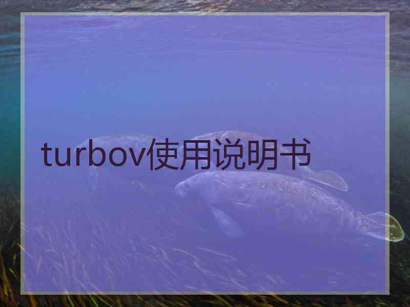 turbov使用说明书